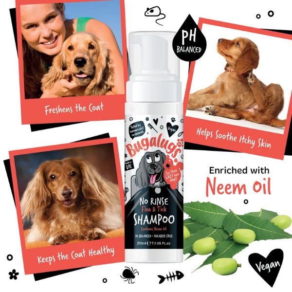 Bugalugs No Rinse Flea & Tick Shampoo for Dogs (210ml)