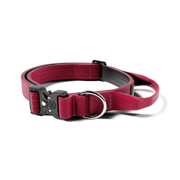 Bully Billows 2.5CM Combat Collar With Handle And Rated Clip - Burgundy V2.0 XS - M