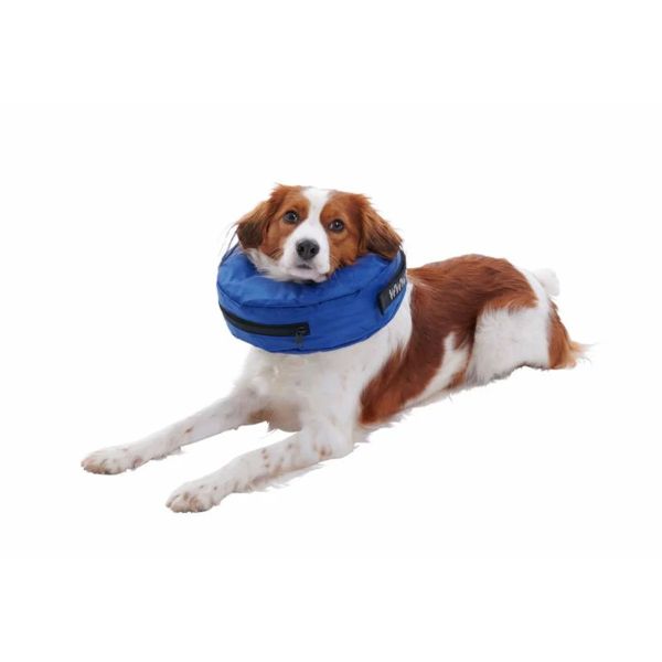 Buster Medium Inflatable Collar - Blue