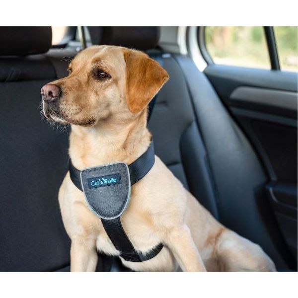 Car Safe Essentials Dog Travel Harness (Large)