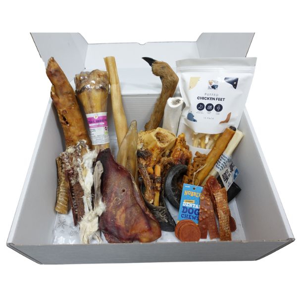 Christmas Box (Large Dog)