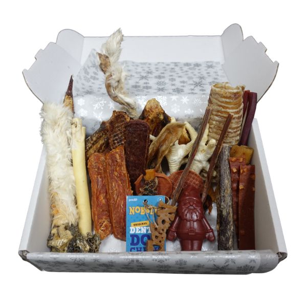 Christmas Box (Small Dog)