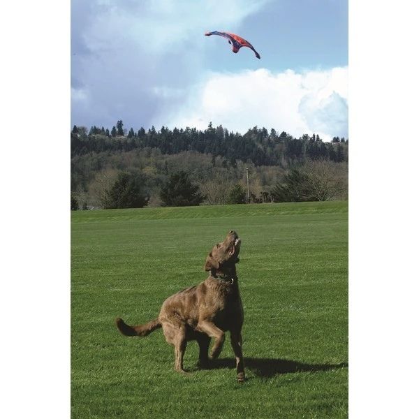 Chuckit! Flying Squirrel (Medium)