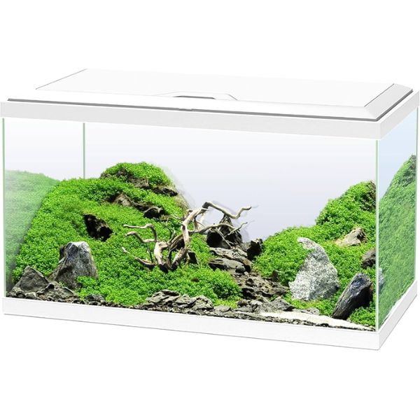 Ciano Aquarium 60 LED White