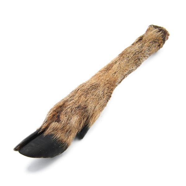 Deer Legs - (Hairy)