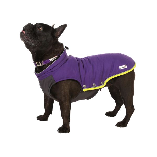 DoodleBone Puffer Jacket - Violet