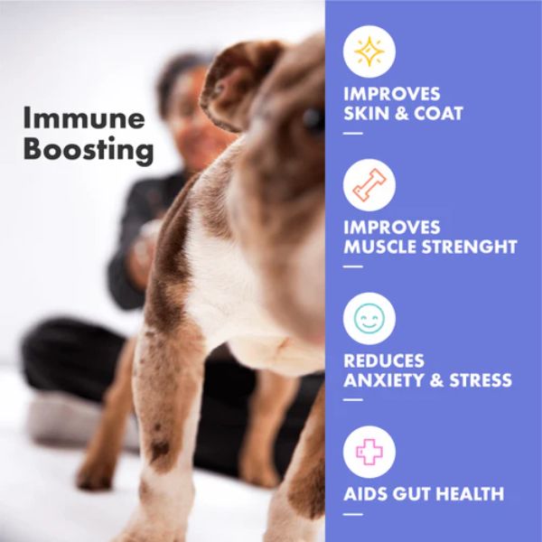 DotDotPet Plasma Dog Supplements (Multifit Gummies)