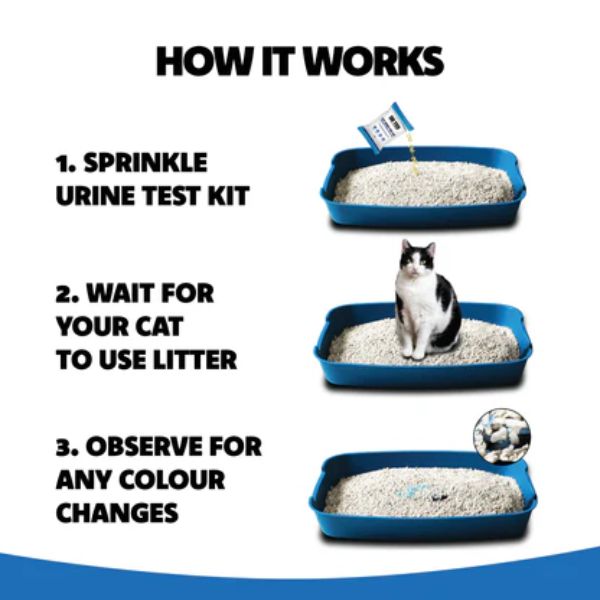 Dr Ted Cat Urine Test - Hematuria / Blood