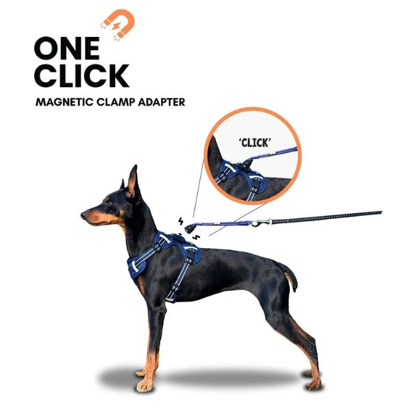 DogsLife Easy Lock Harness Set