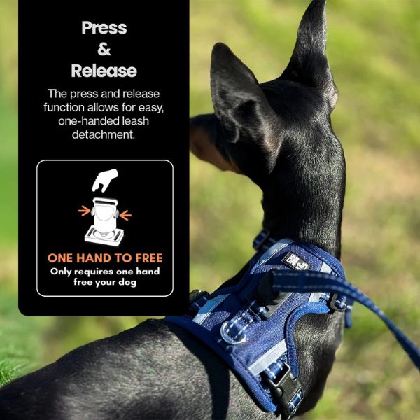 DogsLife Easy Lock Harness Set
