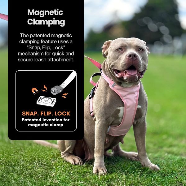 DogsLife Easy Lock Harness Set