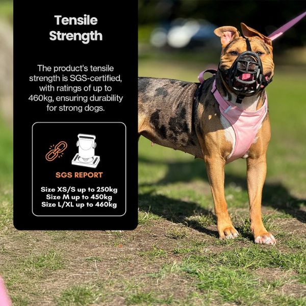 DogsLife Easy Lock Harness Set