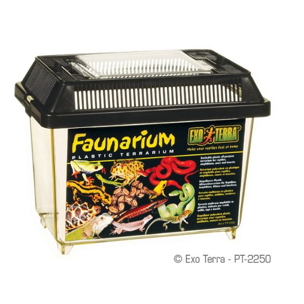 Exo Terra Faunarium Mini