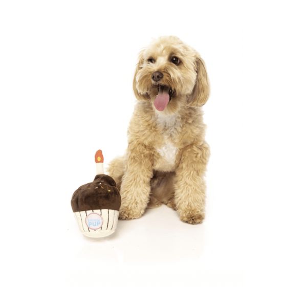 FuzzYard Birthday Cupcake Dog Toy