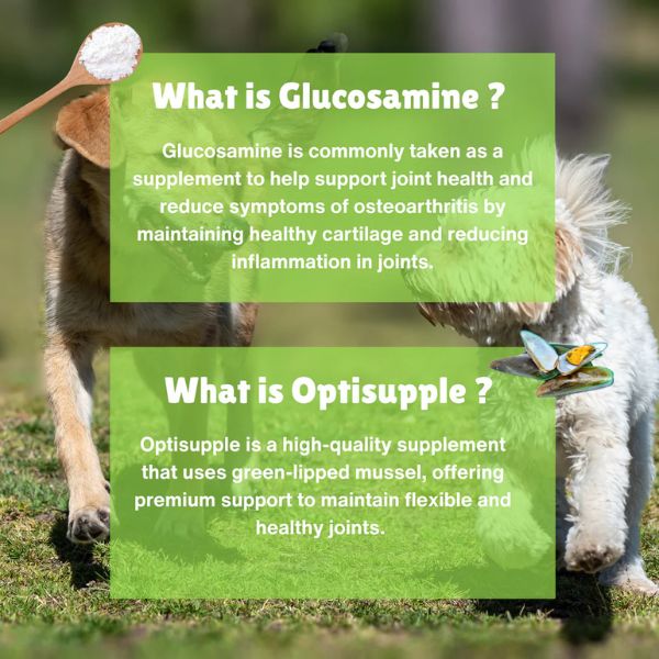 GoGo Motion Joint Care Tablets for Dogs