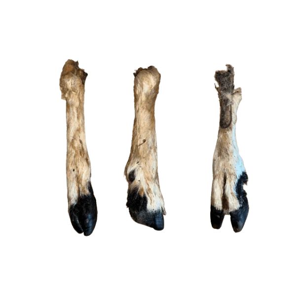 Goats Feet (Hairy)