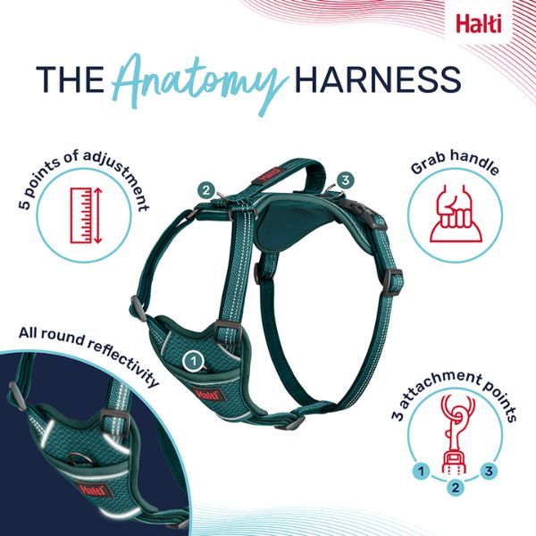 Halti Anatomy Harness - Grey