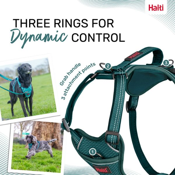 Halti Anatomy Harness - Teal