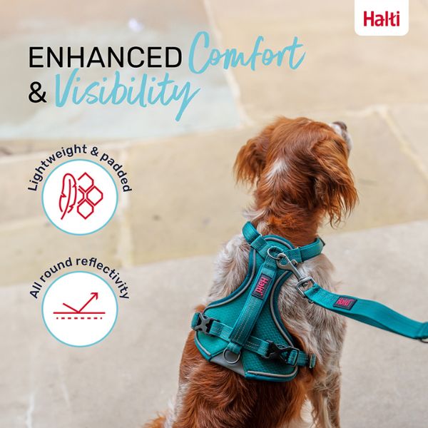 Halti Anatomy Harness - Teal