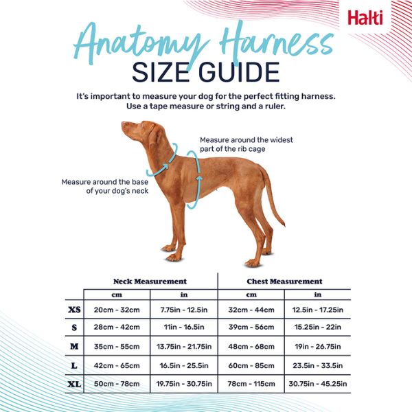 Halti Anatomy Harness - Teal