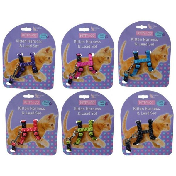 Hem &amp; Boo Snag Free Spotty Kitten Harness and Lead Set