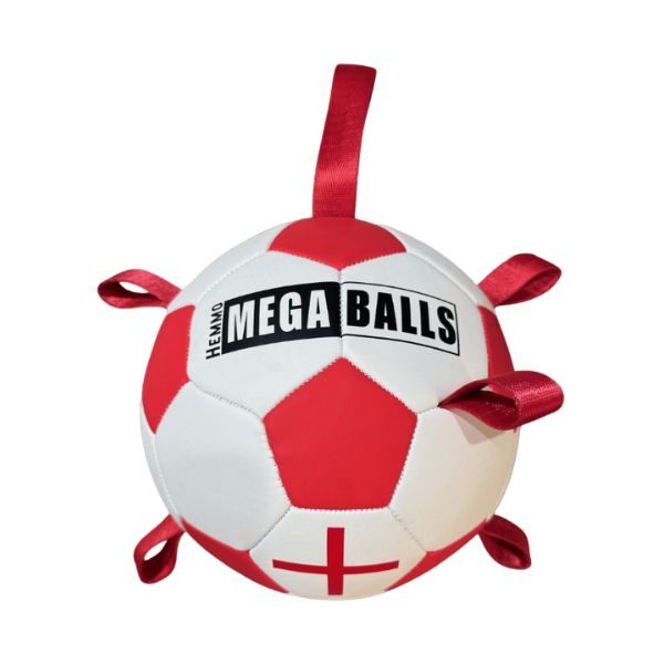 Hem &amp; Boo Megaball Pick Up Football Dog Toy