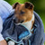 Henry Wag Microfibre Cleaning Towel