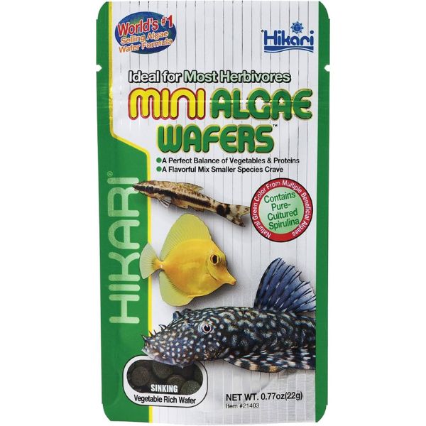 Hikari Mini Algae Wafers (22g)
