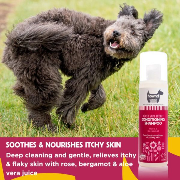 Hownd Got An Itch? Conditioning Shampoo (250ml)