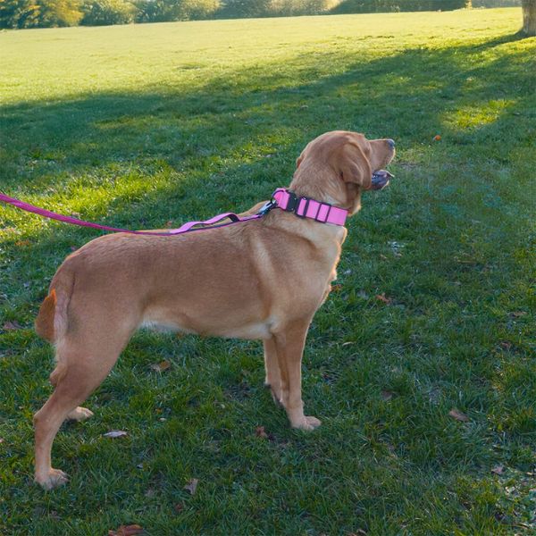 HugglePets Tactical K9 Endurance Dog Lead