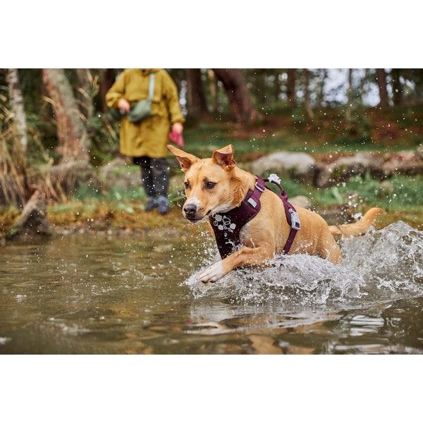 Hurtta Weekend Warrior Harness II ECO (Eggplant)