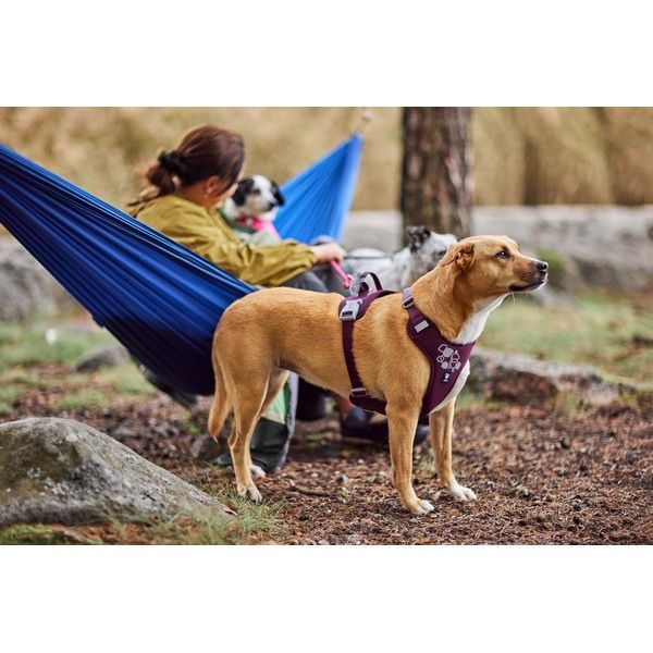 Hurtta Weekend Warrior Harness II ECO (Eggplant)