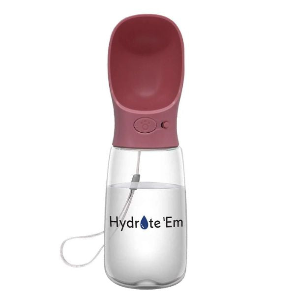 Hydrate Em Travel Water Bottle