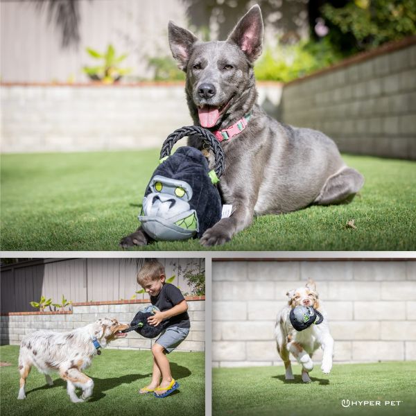 Hyper Pet Kettlebellz Gorilla (Small)