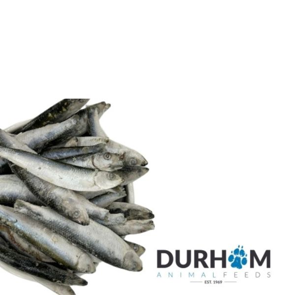 Durham Raw Sprats (1kg)