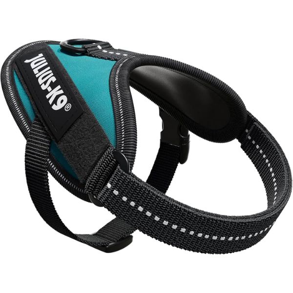 Julius K9 IDC Power Harness - Petrol Green