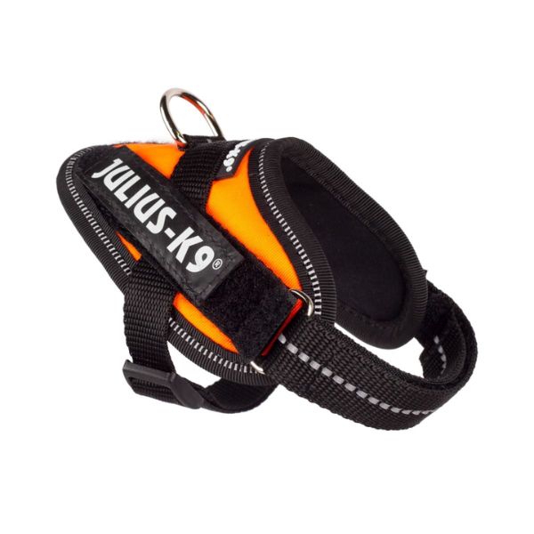 Julius K9 IDC Power Harness (UV Orange)