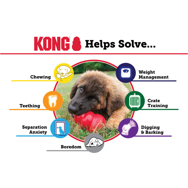 Kong Puppy