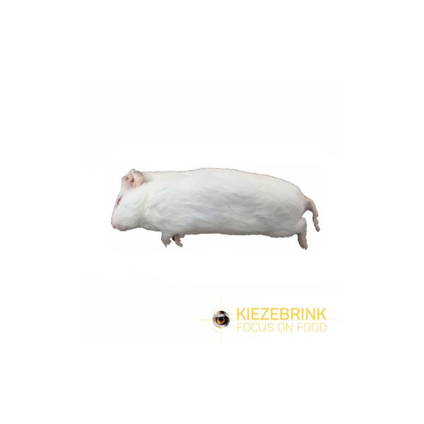 Kiezebrink Frozen Guinea Pig