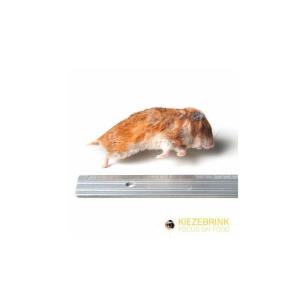 Kiezebrink Frozen Large Hamster