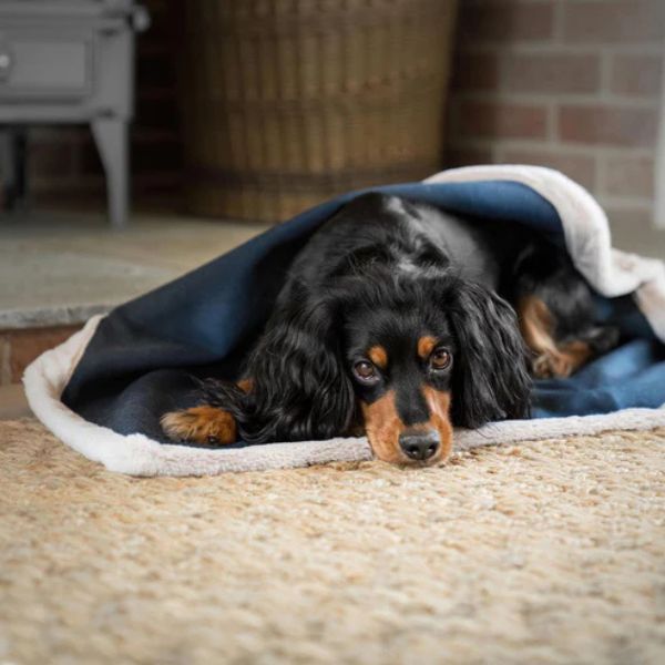 Lords &amp; Labradors Essentials Twill Blanket