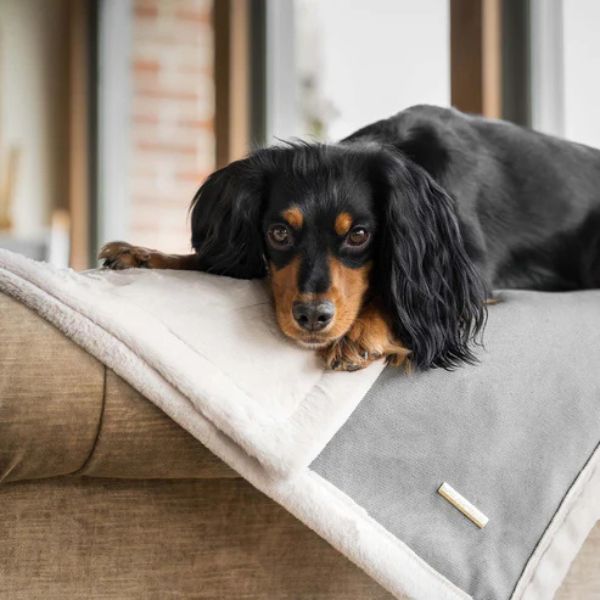 Lords & Labradors Essentials Twill Blanket