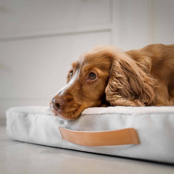 Lords & Labradors Essentials Twill Orthopaedic Mattress in Linen