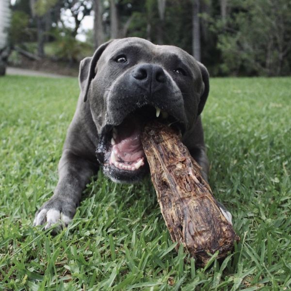 Lulu&#39;s Kitchen Get Off Ma&#39;Tail (Kangaroo Tails)