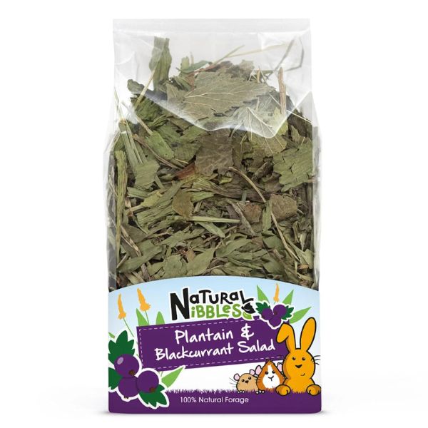 Natural Nibbles Plaintain &amp; Blackcurrant Salad (100g)