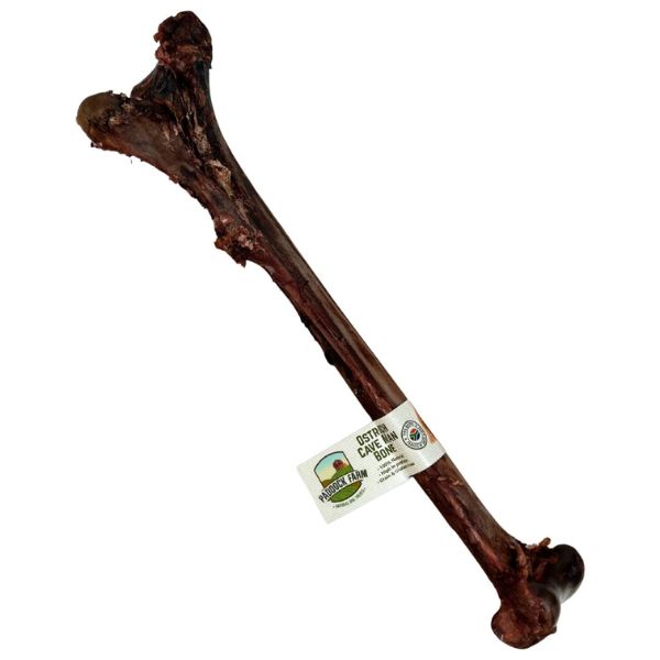 Ostrich Caveman Bone