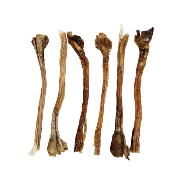 Ostrich Tendon