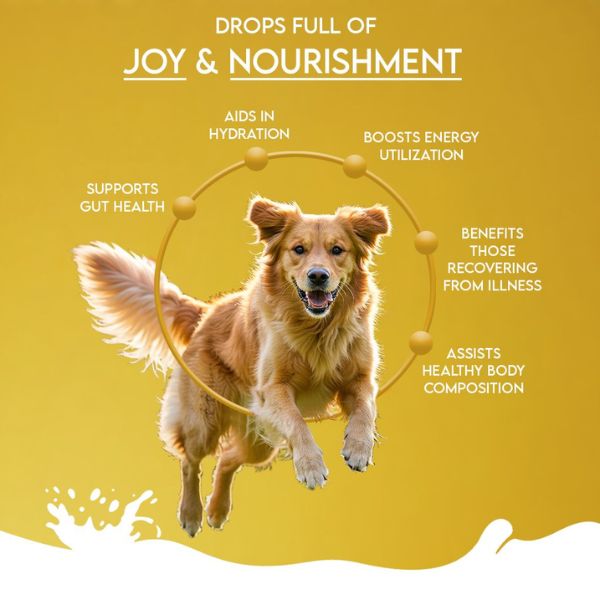Pawfect Nature's Sip 100% Natural Camel Milk Powder for Dogs & Puppies