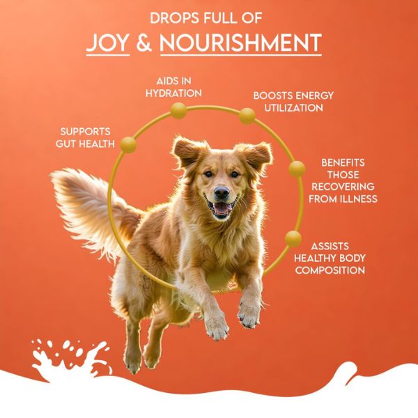 Pawfect Nature's Sip Camel Milk Powder with Papaya, Banana, Broccoli & Flaxseeds for Dogs