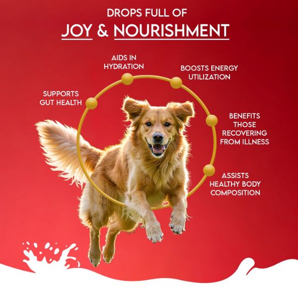 Pawfect Nature's Sip Goat Milk Powder with Pomegranate & Cranberries for Dogs